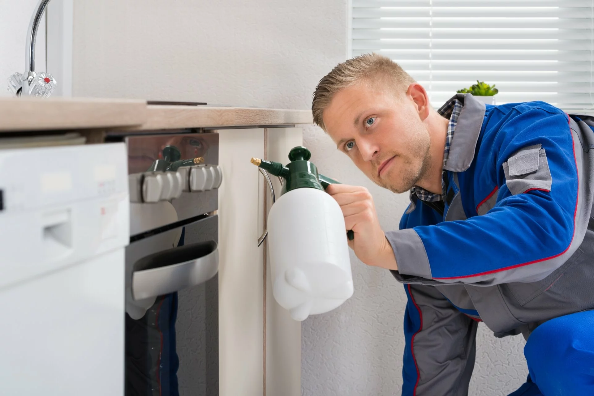 Pest Inspection, Pest Control in Clapton, E5. Call Now 020 8166 9746