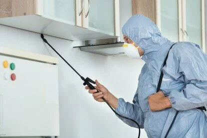 Home Pest Control, Pest Control in Clapton, E5. Call Now 020 8166 9746